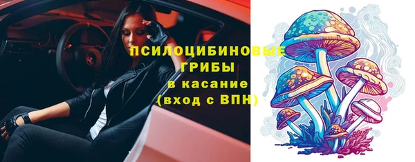 apvp Алексеевка