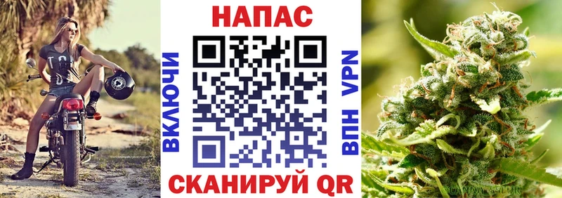 Марихуана MAZAR  Юрьев-Польский 